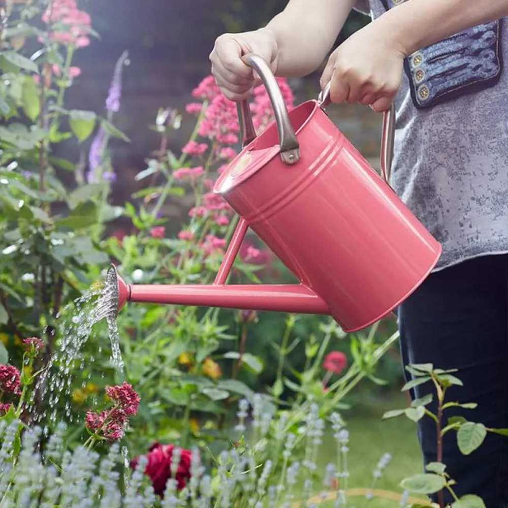 Gieter 4,5 liter verzinkt koraalroze Gieter 4,5 liter verzinkt koraalroze