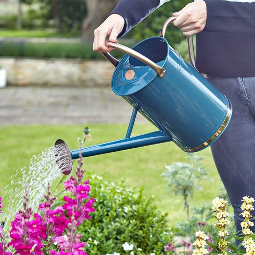 Gieter 9 liter verzinkt marineblauw Gieter 9 liter verzinkt marineblauw
