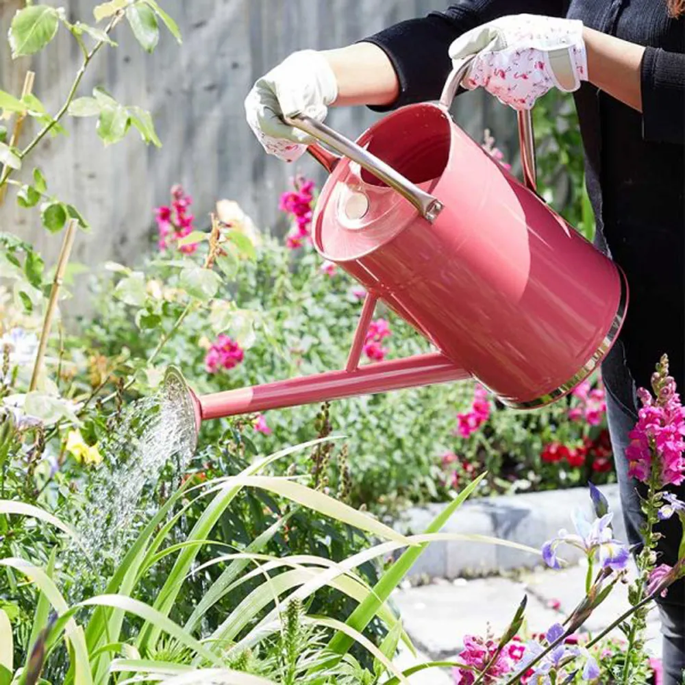 Gieter 9 liter verzinkt koraalroze Gieter 9 liter verzinkt koraalroze